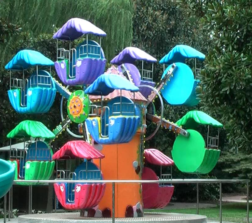 hot sale mini ferris wheels in China
