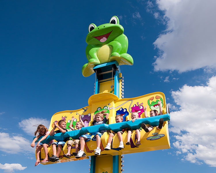 Frog hopper Theme park ride