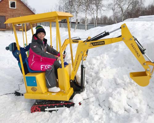 Buy an attraction excavator