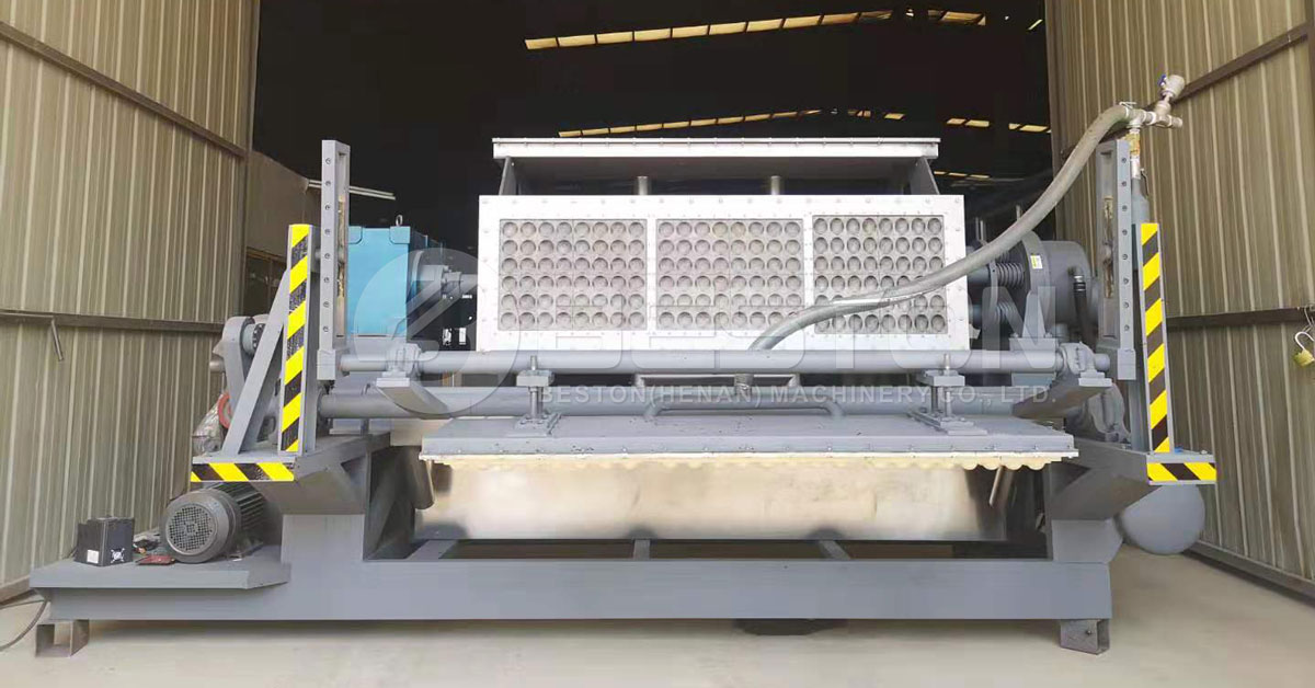 Beston Apple Tray Making Machine for Sale