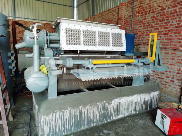 2500pcs Pulp Moulding Machine