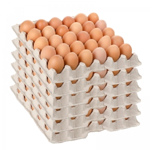 Use Beston Egg Tray Machine to Make Egg Trays