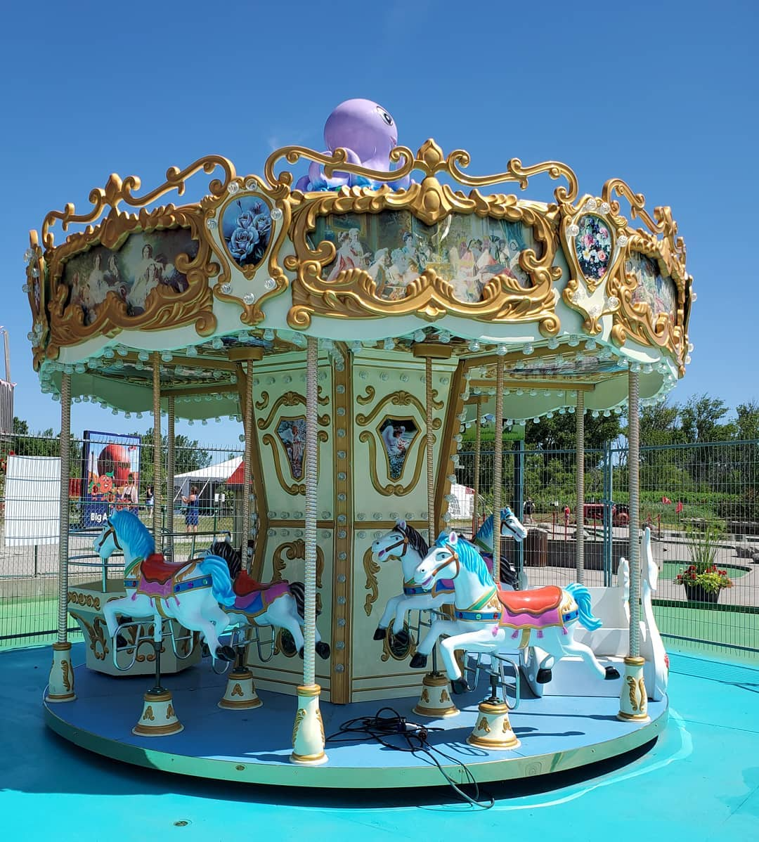 Buying Chinese Amusement Carousel Rides